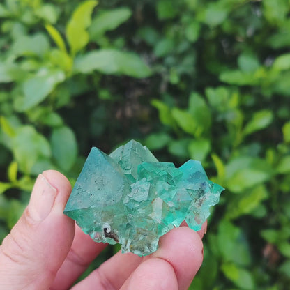 Rare Green Fluorite Octahedral Crystal Cluster - Riemvasmaak, Northern Cape, South Africa