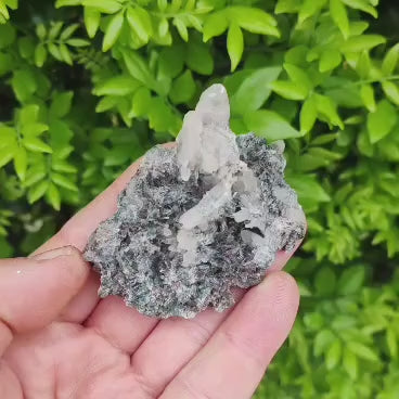 Lattice Quartz with Foitite Matrix, Erongo Mountains Namibia