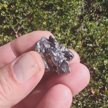 20g Campo del Cielo Meteorite - Ancient Asteroid Fragment & Collector's Gem