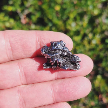 19g Campo del Cielo Meteorite - Real Space Rock from Historic 100 Ton Fall