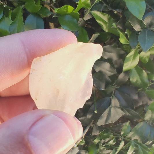 19g Libyan Desert Glass - Ancient Cosmic Impact Specimen from Egypt's Western Desert