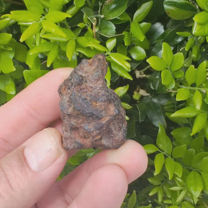 52g Sericho Pallasite Meteorite – Rare Rough Stony-Iron Meteorite
