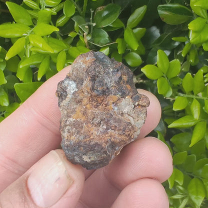 35g Sericho Pallasite Meteorite – Rare Collectible Meteorite