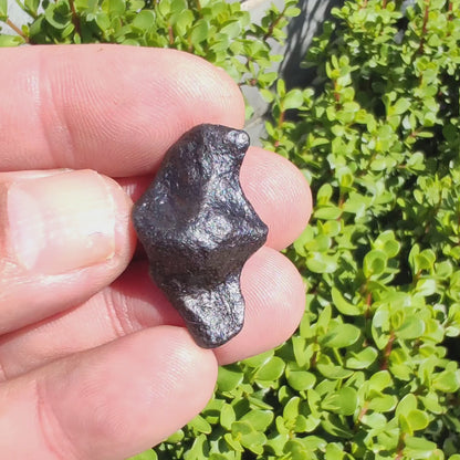 14g Gibeon Meteorite - Ancient Stardust from Namibian Skies