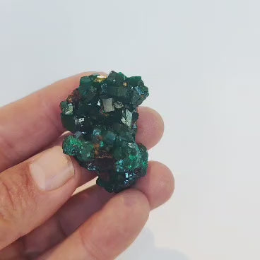 Dioptase Crystal Cluster on Matrix – Kimbedi Copper Mine, Congo