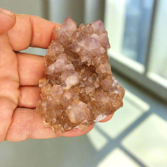 Buy your Rare Northern Cape Smoky Citrine & Amethyst Cactus Quartz online now or in store at Forever Gems in Franschhoek, South Africa