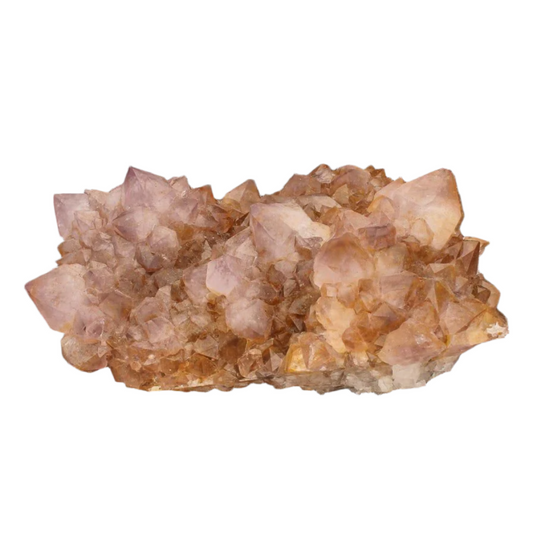 Buy your Rare Northern Cape Smoky Citrine & Amethyst Cactus Quartz online now or in store at Forever Gems in Franschhoek, South Africa