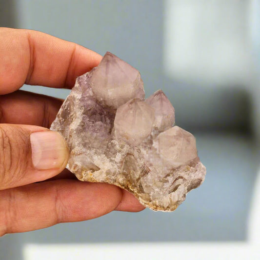 Buy your Rarity Northern Cape Smoky Amethyst Cactus Quartz Cluster online now or in store at Forever Gems in Franschhoek, South Africa