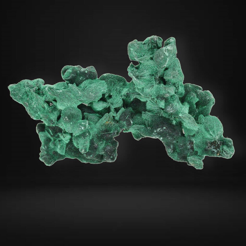Buy your Silky Fibrous Malachite (Miringi Mine) online now or in store at Forever Gems in Franschhoek, South Africa