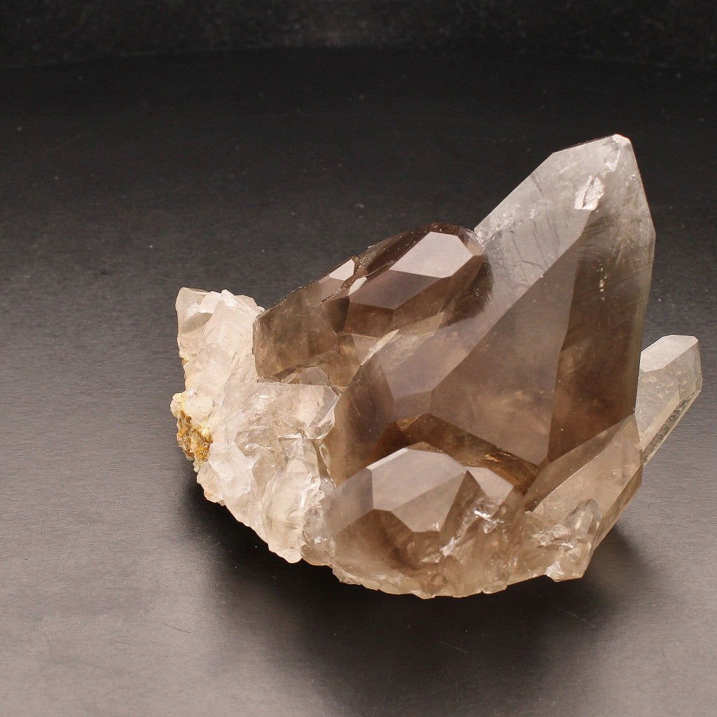 Buy your Smoky Quartz Cluster (Steinkopf) - Grounding Energy online now or in store at Forever Gems in Franschhoek, South Africa