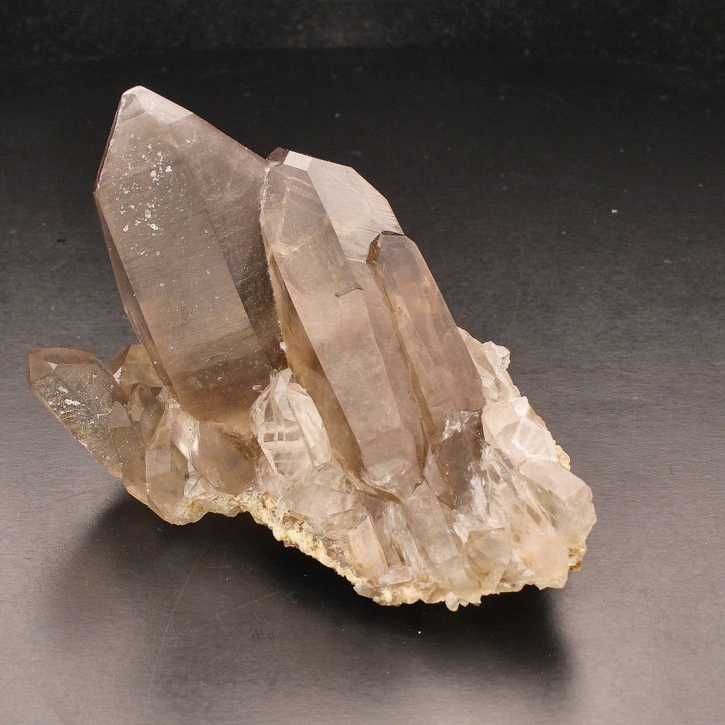 Buy your Smoky Quartz Cluster (Steinkopf) - Grounding Energy online now or in store at Forever Gems in Franschhoek, South Africa