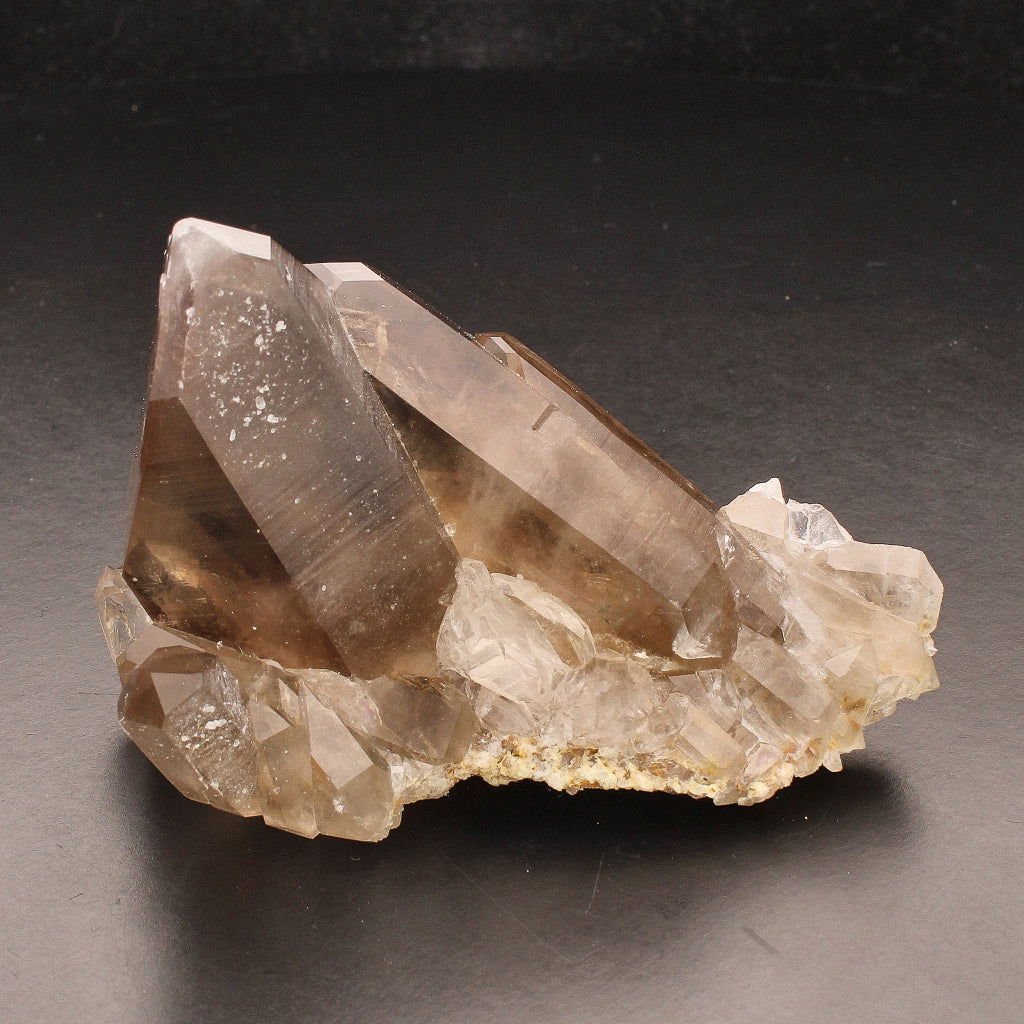 Buy your Smoky Quartz Cluster (Steinkopf) - Grounding Energy online now or in store at Forever Gems in Franschhoek, South Africa