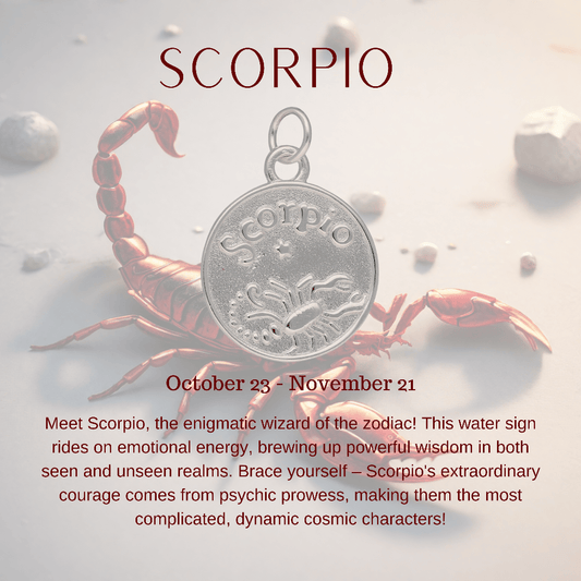 Buy your Sterling Silver Scorpio Necklace online now or in store at Forever Gems in Franschhoek, South Africa