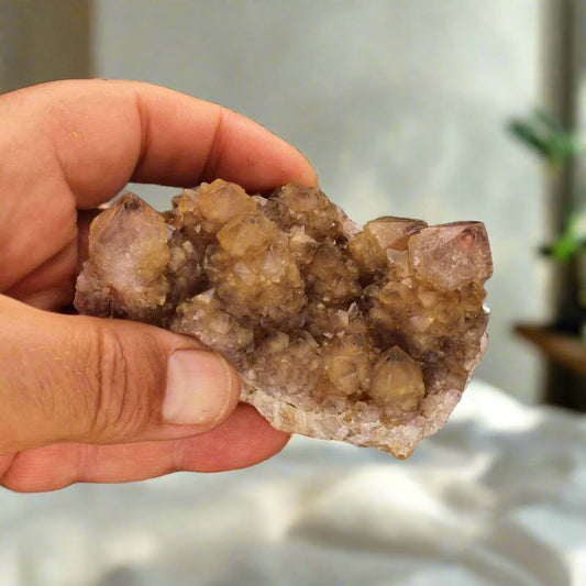 Buy your Unique Smoky Citrine & Amethyst Cactus Quartz Cluster online now or in store at Forever Gems in Franschhoek, South Africa