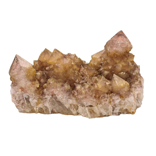 Buy your Unique Smoky Citrine & Amethyst Cactus Quartz Cluster online now or in store at Forever Gems in Franschhoek, South Africa