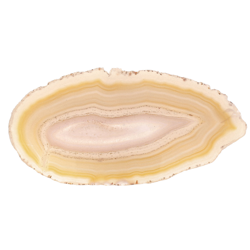 Buy your Natural Agate Slice online now or in store at Forever Gems in Franschhoek, South Africa